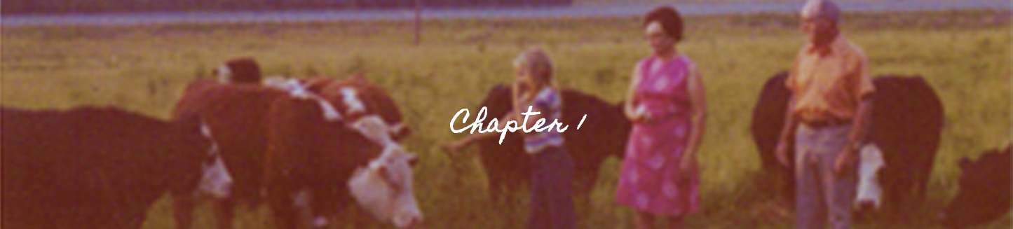 Sharon Loy Chapter 1