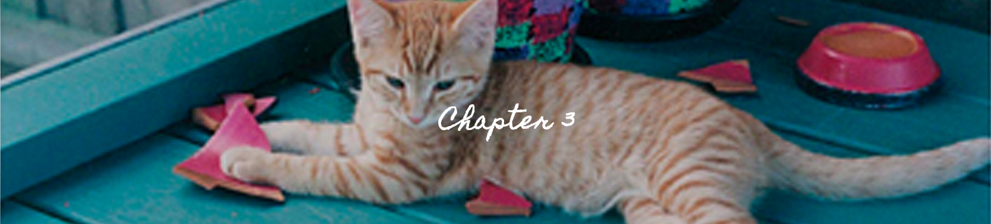 Sharon Loy Chapter 3